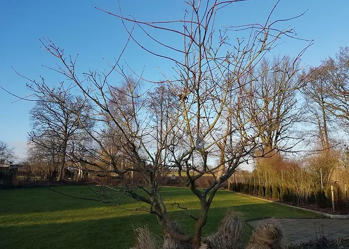 Gartenblick Апартаменты *