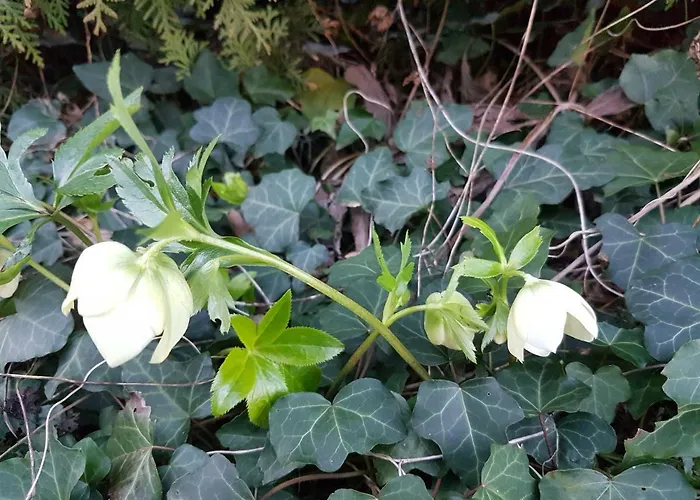 Gartenblick Апартаменты Зеветаль